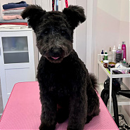 Gömbi - ...már egy kicsit nagyobban...